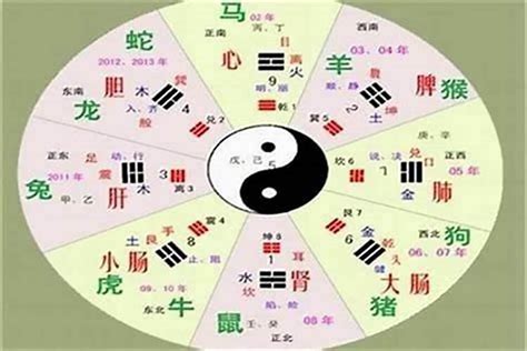 玲五行|玲字的五行属性